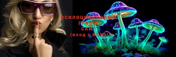 молекула духа Приозерск